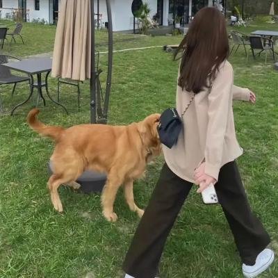 孤独的野兽